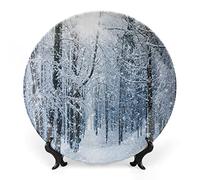SMAZDFXX Plato decorativo de cerámica de gres invernal con paisaje de río nevado, árboles áridos y escarchados, Países Bajos, Europa, para mesa de comedor, recepción de boda y decoración navideña.