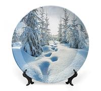 SMAZDFXX Plato decorativo de cerámica de gres invernal con paisaje de río nevado, árboles áridos y escarchados, Países Bajos, Europa, para mesa de comedor, recepción de boda y decoración navideña.