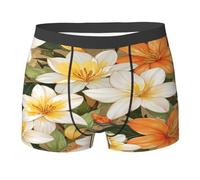 SMAZDFXX Ropa Interior para Hombre con armonía de Flores Tropicales Bohemias - Calzoncillos bóxer cómodos para niños