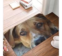 SMAZDFXX Tapete para Puerta de Entrada de 40 x 60 cm con diseño de Cachorro con Ojos tristes. Absorbente y fácil de Limpiar. Ideal para Patios, Casas de Campo y decoración del hogar.