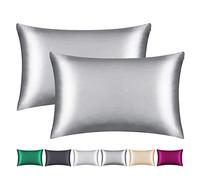 Smbeope Juego de 2 Fundas de Almohada 100% Seda de Morera, para Cabello y Piel, Cremallera Oculta, Funda de Almohada de Seda Natural de 22 mommes en Ambos Lados, Suave, Transpirable y Lisa, (tamaño