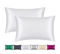 Smbeope Juego de 2 Fundas de Almohada 100% Seda de Morera, para Cabello y Piel, Cremallera Oculta, Funda de Almohada de Seda Natural de 22 mommes en Ambos Lados, Suave, Transpirable y Lisa (tamaño