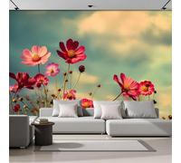 SMBHIAON Papel Tapiz Fotográfico 3D Paisaje Pastoral,Flores Cosmos Rosas Papeles Dormitorio,Decoración Del Hogar Tv Fondo Carteles Pegatina Grande Diseño Paredes,450 × 315 Cm