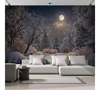 SMBHIAON Papel Tapiz Fotográfico La Luz La Luna Brilla Sobre La Escena Nevada 250 × 175 Cm Fondo De Pantalla Xxl, Bosque Nocturno Invierno Decoración De Pared Sala Cuarto Oficina Salón, Azul Oscuro