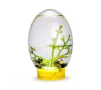 SMELEYOU PequeñO Tank De Pescado Mini Aquarium Goldfish Tank Ecosyststem Cerrado Ecosistema AcuáTico con Acuario De Escritorio LED Base Amarilla Estable No Es Necesario Alimentar Ni Cambiar Agua