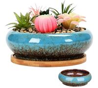 SMELEYOU Plantador De Loto para TazóN para Semillas De Flores De Loto Macetas Acristaladas De CeráMica Maceta De Bonsai De Interior Blau