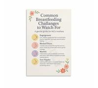 SMGLRUEAT Breastfeeding Guide & Common Issues Poster, Informative Canvas Print Wall Art for Nursery, Postpartum Care Room, or Midwife Office Decor(Framed,08x12inch(20x30cm))