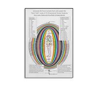 SMGLRUEAT Bridging Science & Spirituality: Human Anatomy & Chakra Energy Chart. Vibrant Educational Canvas for Yoga Teachers, Healers, Wellness Coaches & Students.(Framed,16x24inch(40x60cm))