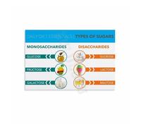 SMGLRUEAT Sugars of the World Poster - Global Kitchen Knowledge Infographic, Conversation Starter Canvas Art for Foodies and Home(Framed,08x12inch(20x30cm))