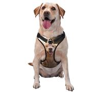 Smiling Golden Retriever - Chaleco de tracción para mascotas grande impreso para que las mascotas lo usen al pasear al perro o escalar montañas