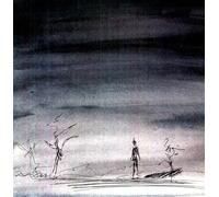 Smith, Steven R. - Floor of the Sky [Vinilo]
