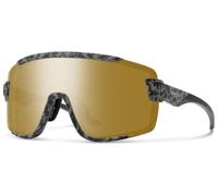 Smith WILDCAT C99 ACI (QE) Gris