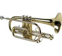 SML Corneta Sib Co50 SML Ancho 18cm Alto 27cm Largo 44cm Instrumento Musical de Viento Madera Laton Brillo