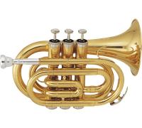 SML Trompeta Pocket Tp50 Si bemol con Estuche y Boquilla SML Paris