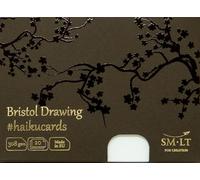 smlt C de 20 (308) Haiku Cards 147 x 106 mm Bristol papel Tarjetas en la caja, 308 GSM Bristol papel, tarjetas de 20