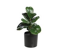 SMPLY. Ficus Lyrata Artificial - Altura 27 cm - Planta Ficus Pandurata - Arbórea Artificial y de Espectaculares Hojas Verdes - Ideal Hogar y Oficina