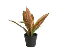 SMPLY. - Planta Artificial de Dracena Roja- En Maceta - Altura: 27 cm- De Plástico -Decoración Ideal en el Interior y Exterior de Casa