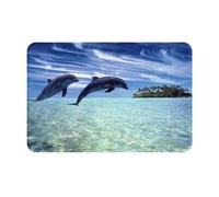 SMSJTMWHN Tapete de bienvenida, felpudos de ballenas saltando para entrada interior y exterior, tapetes de perfil bajo, fácil de limpiar, alfombra de entrada delantera, decoración del hogar, 24 x 16