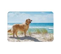 SMSJTMWHN Tapete de bienvenida, Golden Retriever para entrada interior y exterior, tapetes de perfil bajo, fácil de limpiar, alfombra de entrada delantera, decoración del hogar, 24 x 16 pulgadas