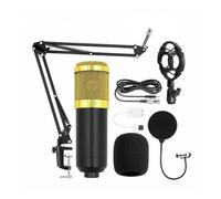 SMTYXS Micrófono De Condensador Karaoke En Vivo Chat De Canciones Grabación De Juegos Micrófono Teléfono Móvil Computadora Equipo General(Golden-BM800)