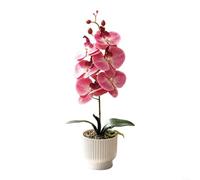 SMZhomeone 1 orquídea artificial Phalaenopsis, flores realistas de mariposa 3D, planta falsa de plástico suave, sin riego, decoración del hogar, boda, oficina, lunares morados, blanco, 42 cm (rojo