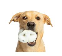 Snack Morro de Cerdo Natural para Perros 10 Unidades | ANIMALUJOS