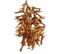 Snack Natural para Perro Pata De Pollo - 50 Unidades - Chuche Deshidratada - Natural - ANIMALUJOS