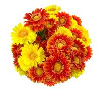 SNAIL GARDEN 30 cabezas de margaritas artificiales con gotas de rocío, 2 colores de margaritas de seda que se ven reales con 3 formas de hojas, flores falsas que brillan a la luz del sol para el