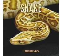 Snake Calendar 2026: 14-Month Organizer from Nov 2025 to Dec 2026 | Perfect for Home, Office, School & Family Scheduling, For Men , Women , Girls , Boys