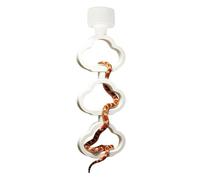 Snake Climbing Rings - Reptile Interactive Ring Toy, Snake Exploration Accessory for Enriquement, Hábitat Vertical Structure, Terrarium Setup Set with Modular Links, Enclosure Tool for Bearded Dragon