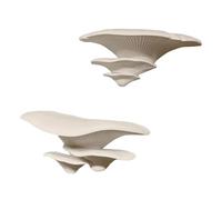 Snake Enclosure Decor - Adhesive 3D Mushroom Ornaments, 2-Piece Pet-Safe Gecko Tank Accessories - Terrarium Decorations For Snakes Lizards Bearded Dragons Crabs Spiders Crickets and Reptile Breeding