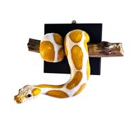 Snake Sculpture Wall Decor | Realistic Resin Shadow Effect Decorations