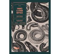 Snakes and Other Reptiles: An Image Archive for Artists and Designers (Image Archive Series by Vault Editions)