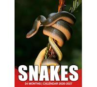Snakes Calendar 2026 - 2027: A 24-Month Monthly Planner from January 2026 to December 2027, Great for Personal, School, or Office Planning