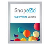 SnapeZo Slim Series - Marco para póster de 18 x 24 pulgadas, carga frontal, montaje en pared, perfil de aluminio de 0.8 pulgadas, color plateado