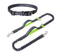 Snocyo Correa de Jogging para Perros, para Perros Grandes y medianos de tamaño Grande, Correa elástica y Reflectante, Correa retráctil con Doble asa y cinturón de Cintura