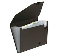 Snopake Original - Carpeta archivadora tipo fuelle (con 13 compartimentos, A4), color negro