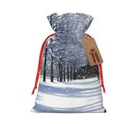 Snow Falling In The Park - Bolsas de regalo de varios tamaños, bolsas de regalo para celebraciones, reutilizables para cumpleaños y eventos especiales