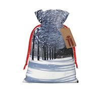 Snow Falling In The Park - Bolsas reutilizables con cordón, bolsas de regalo festivas versátiles para cualquier ocasión
