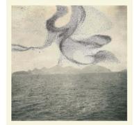 Snow Ghosts A Small Murmuration (CD) Album (Importación USA)