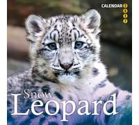 Snow Leopard 2027 Calendar - Ghost of the Mountains Panthera Uncia: Twelve Month Wild Feline Close Up Photography Collection and Wildlife Planner