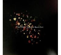 Snow Patrol - A Hundred Million Suns (2 LP)