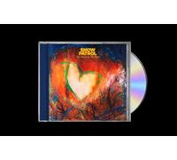 Snow Patrol The Forest Is the Path (CD) Album (Jewel Case)