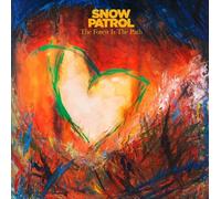 The Forest Is The Path - 2LP Azul [Vinilo]