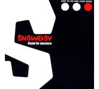 Snowboy & Latin Section - Beyond The Snowstorm