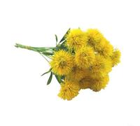 Snowchecking 12 flores artificiales, flores artificiales de plástico diente de león que mejoran el ambiente de cualquier espacio o decoración del hogar y estilo de eventos (amarillo)
