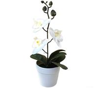 snowchecking Planta artificial de bonsái de orquídea mariposa realista diseñada para exhibición interior a largo plazo sin necesidad de riego (blanco)