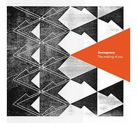 Snowgoose - The Making Of You [VINYL] [Vinilo]