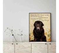 Snowsun Letrero de metal con texto en inglés «Enjoy the little thing's in life, they were the big thing's Newfoundland Dog» de aluminio vintage para decoración de pared del hogar, jardín, oficina, 8 x