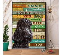 snowsun Letrero de metal con texto en inglés "Every Snack You Make Ill Be Watching You", letrero vintage divertido retro de aluminio para el hogar, patio, jardín, bar, al aire libre, 8 x 12 pulgadas
